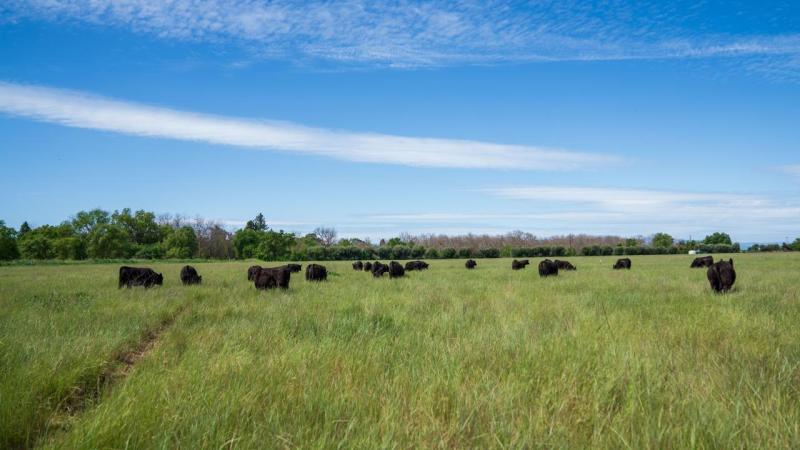 Wide landscape view of a large working ranch with open space